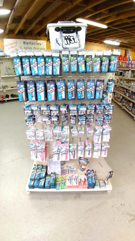 Ouverture de la pêche au Bar